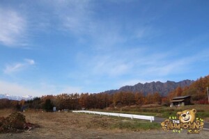 thekumachan_drive_to_nagano-30