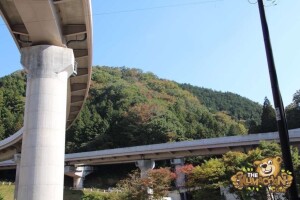 thekumachan_drive_to_nagano-7-2