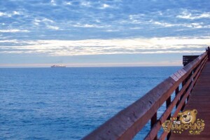 thekumachan_imperial_beach_pier-02