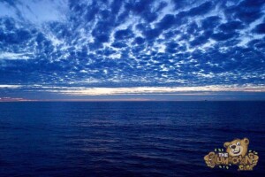 thekumachan_imperial_beach_pier-10