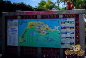 thekumachan_okinawa_aquarium-01