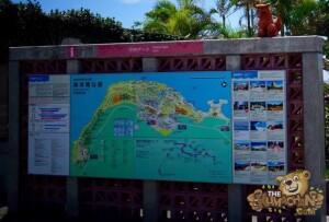 thekumachan_okinawa_aquarium-01