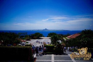 thekumachan_okinawa_aquarium-04