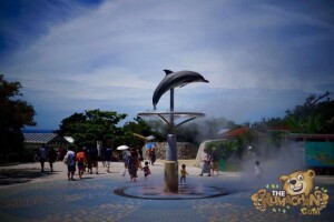 thekumachan_okinawa_aquarium-11