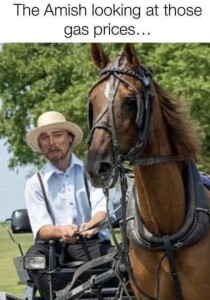 a man riding a horse drawn carriage