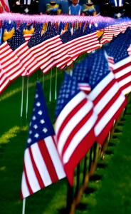 a close up of a flag