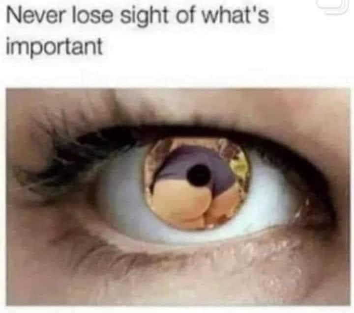 Never Lose Sight Of What s Important The Kumachan